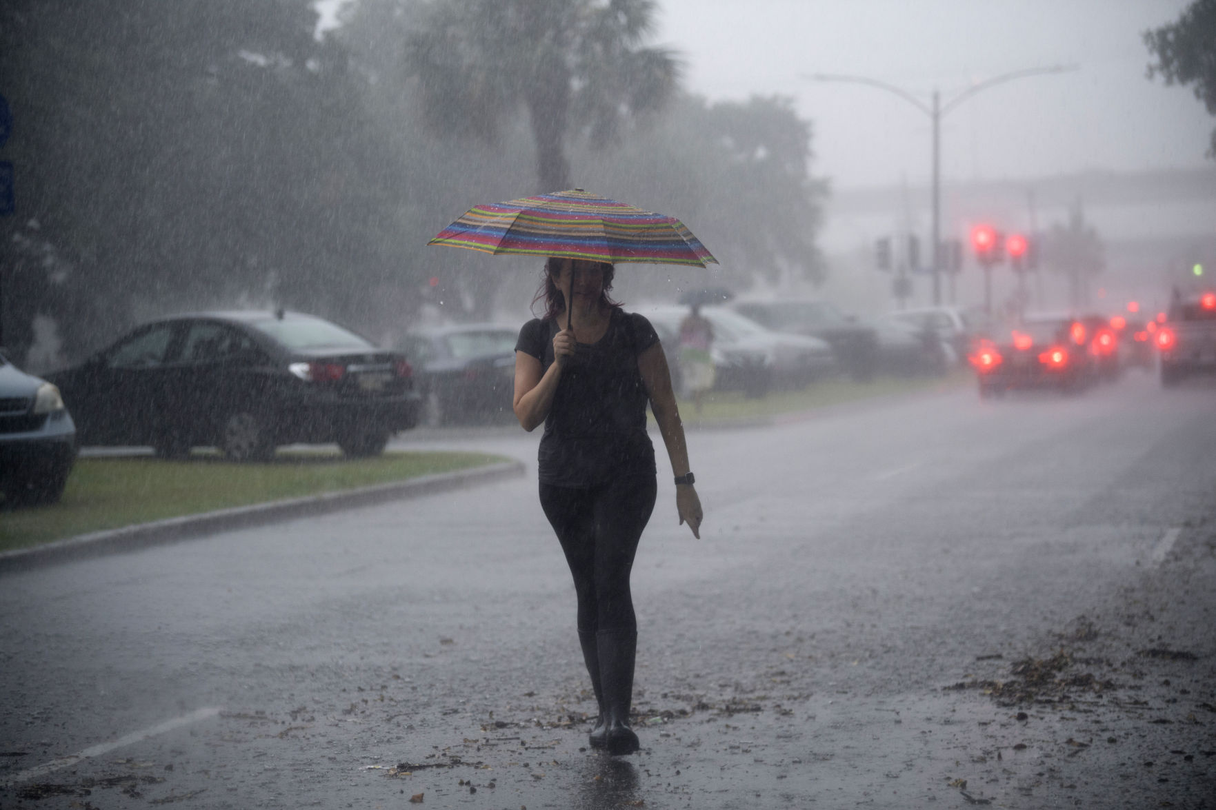 Tropical Weather New Orleans